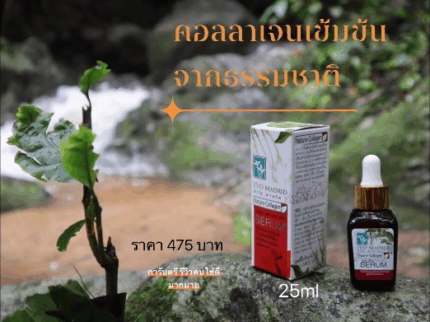 Nature胶原蛋白精华液